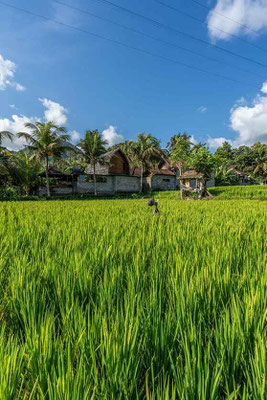 Woning te koop in Oost Bali