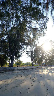 Sumba land for sale