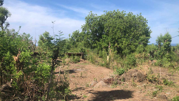 Pemuteran land for sale