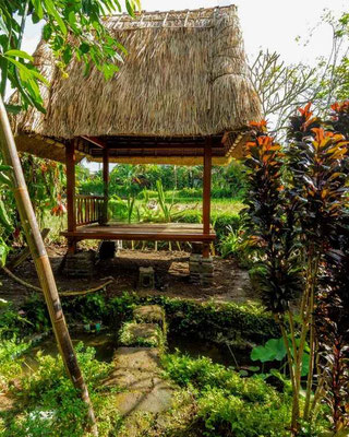 Penestanan house for sale