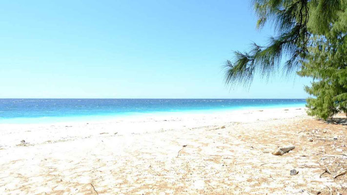 Sumba land for sale