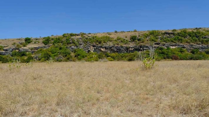 Sumba land for sale