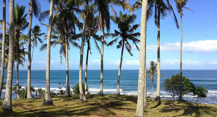 Tabanan land for sale