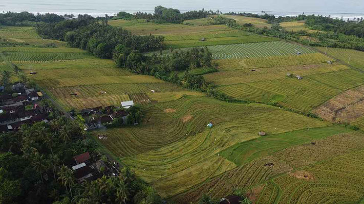 Tabanan land for sale
