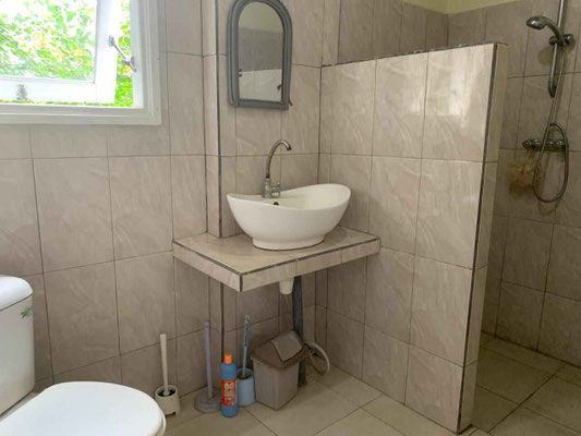 Kerambitan villa for sale