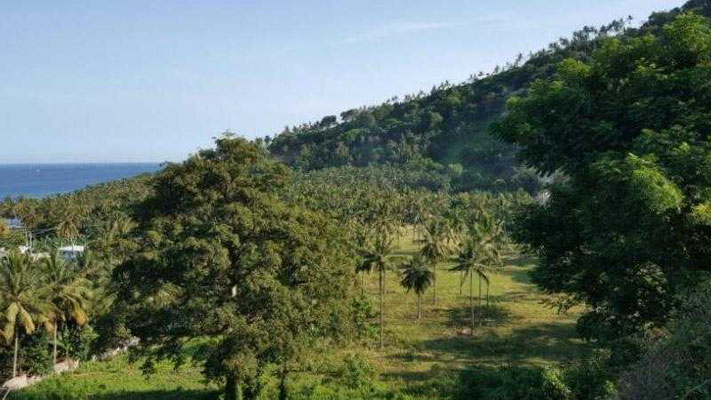 Lombok land for sale