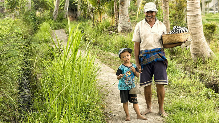 A villager and child strolling hand in hand along the paddy path.