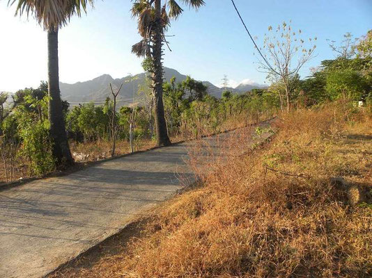 North Bali land for sale. Land for sale by owner