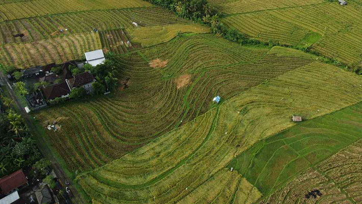 Tabanan land for sale