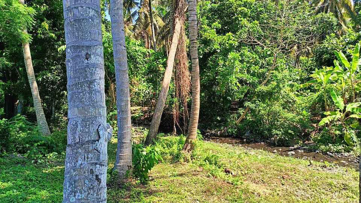 Dijual rumah di Jasri