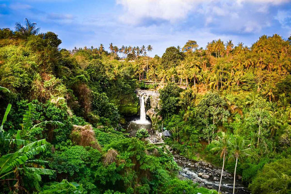 The waterfall at Tegenungan near Sukawati, framed by dense tropical forest.