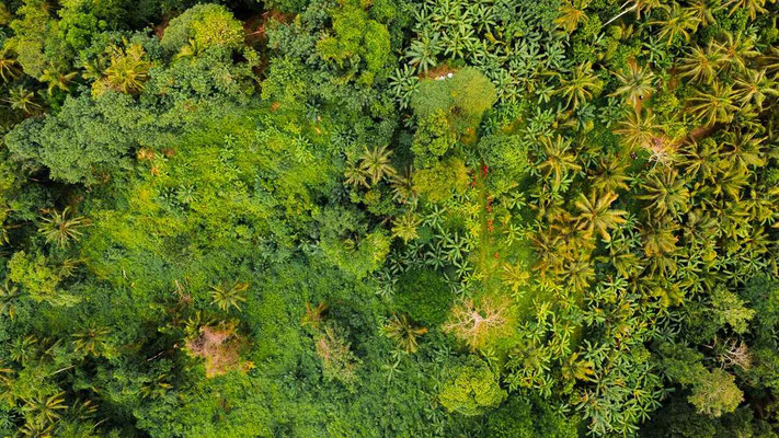 West Bali vastgoed te koop