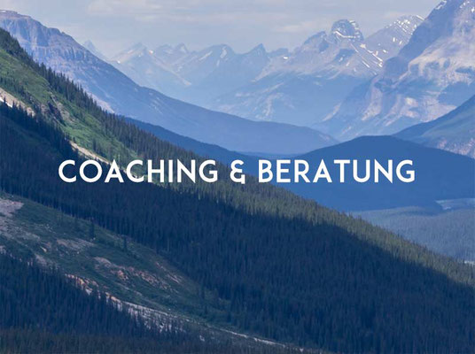 Coaching & Beratung