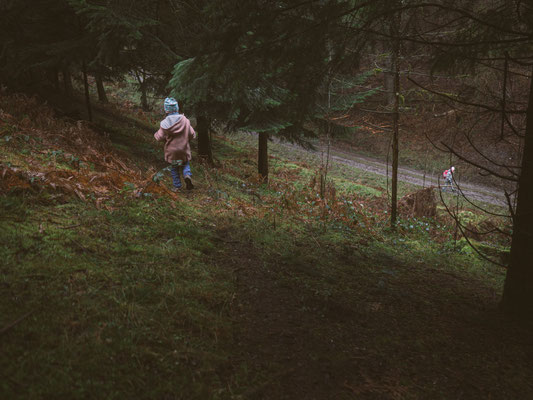 Neckarsteig, etappe 4, hirschhorn, eberbach, wandern, augenblickbewahrer.com, fotoreportage