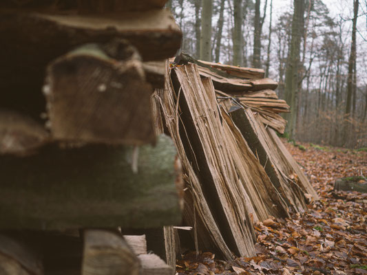 Neckarsteig, etappe 4, hirschhorn, eberbach, wandern, augenblickbewahrer.com, fotoreportage