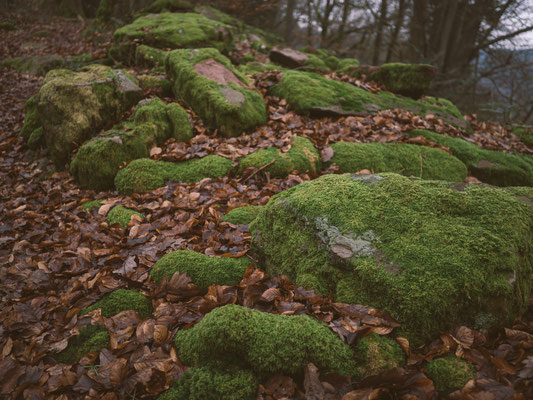 Neckarsteig, etappe 4, hirschhorn, eberbach, wandern, augenblickbewahrer.com, fotoreportage