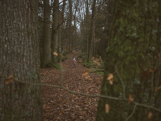 Neckarsteig, etappe 4, hirschhorn, eberbach, wandern, augenblickbewahrer.com, fotoreportage