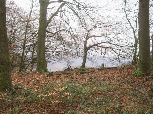 Neckarsteig, etappe 4, hirschhorn, eberbach, wandern, augenblickbewahrer.com, fotoreportage