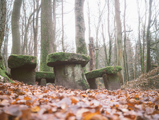 Neckarsteig, etappe 4, hirschhorn, eberbach, wandern, augenblickbewahrer.com, fotoreportage