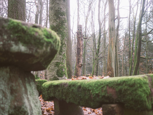 Neckarsteig, etappe 4, hirschhorn, eberbach, wandern, augenblickbewahrer.com, fotoreportage