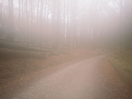 Neckarsteig, etappe 4, hirschhorn, eberbach, wandern, augenblickbewahrer.com, fotoreportage