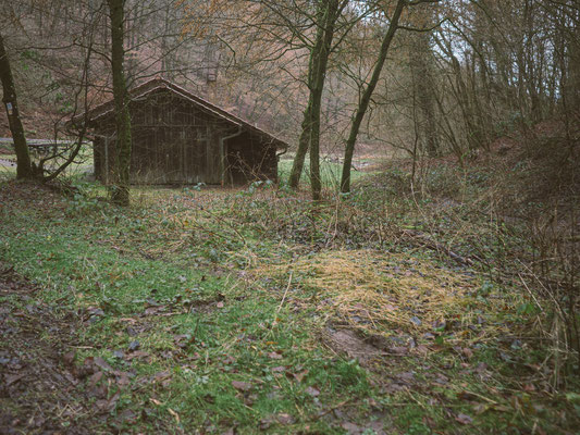 Neckarsteig, etappe 4, hirschhorn, eberbach, wandern, augenblickbewahrer.com, fotoreportage