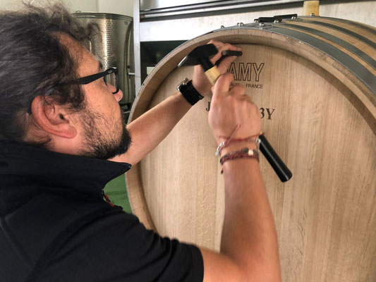 Bio Weingut Johannes Zillinger barrel