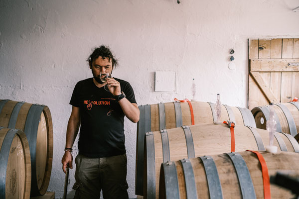 Bio Weingut Johannes Zillinger tasting