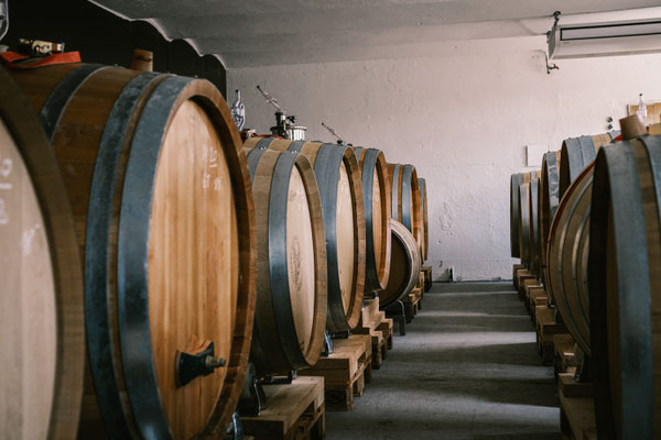 Bio Weingut Johannes Zillinger barrels