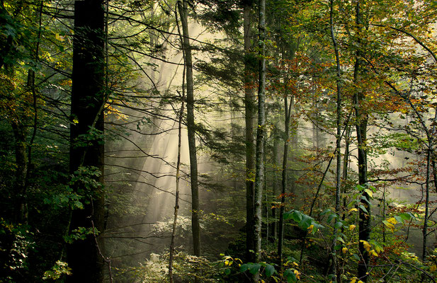 Schauinsland