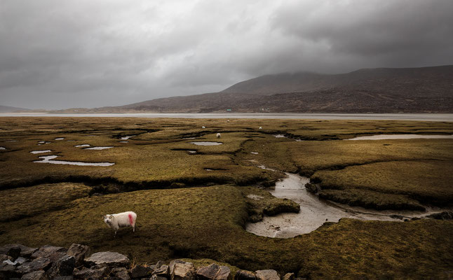 Seilebost, Salt Flats, Isle of Harris