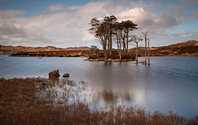 Loch Assynt, Pinieninsel