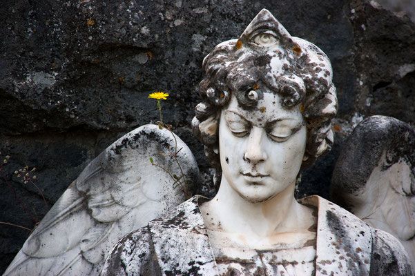 Friedhof Castiglione di Siclia Francavilla