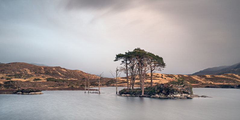 Loch Assynt, Pinieninsel