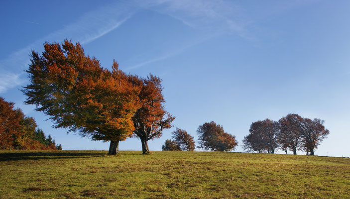 Schauinsland