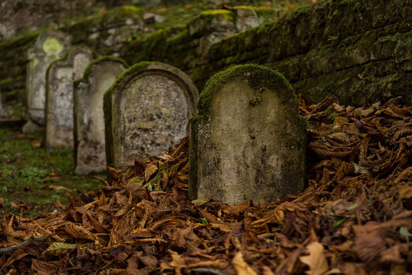 Heidelberg Bergfriedhof