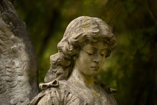 Heidelberg Bergfriedhof