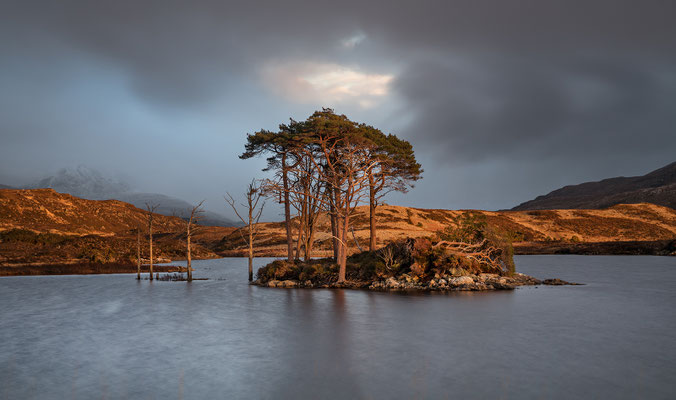 Loch Assynt, Pinieninsel