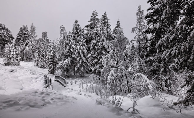 Storforsen