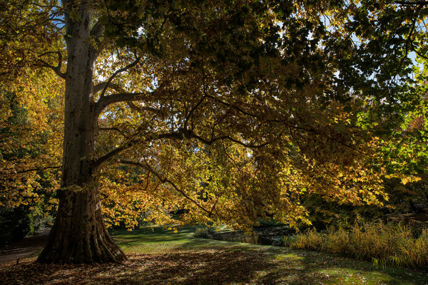 Schwetzinger Schlossgarten