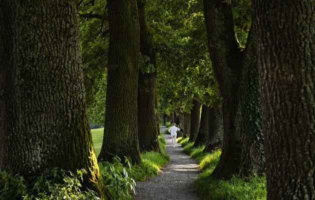 Kottmüller Allee