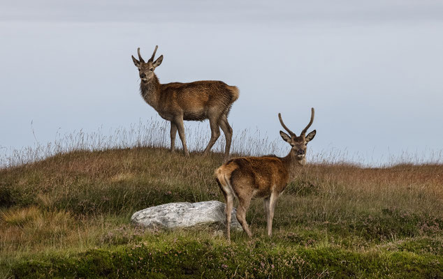 North Uist