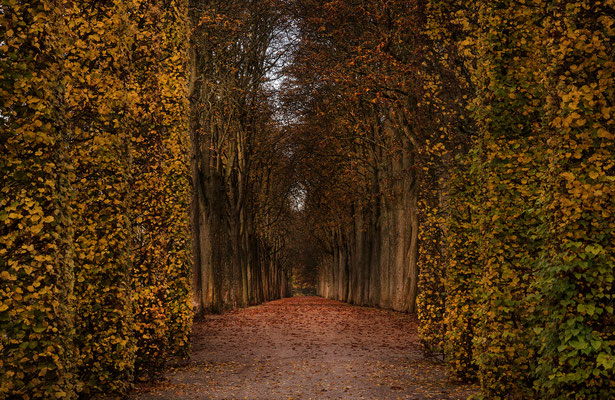 Schwetzinger Schlossgarten