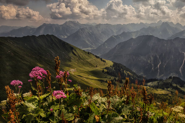 Fellhorn-Wanderung