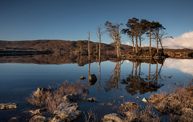 Loch Assynt, Pinieninsel