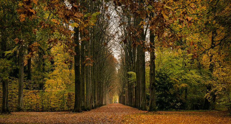 Schwetzinger Schlossgarten
