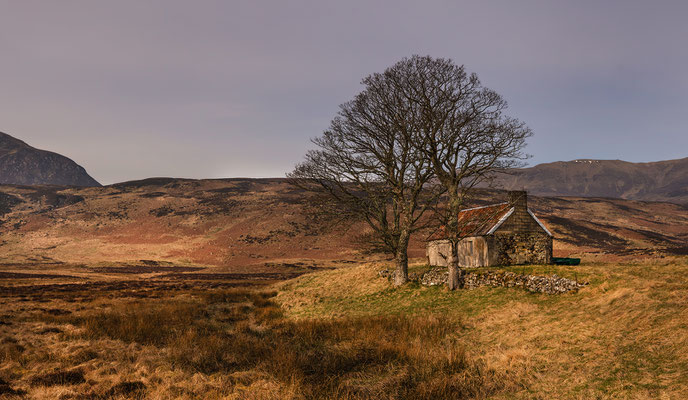 Lettermore