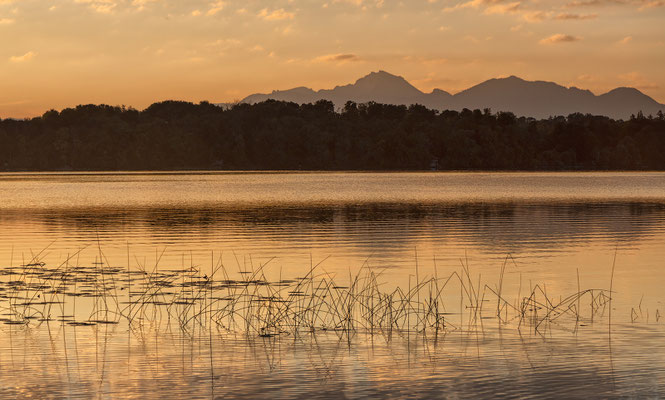 Staffelsee