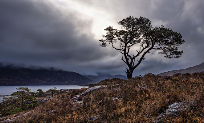 Loch Maree