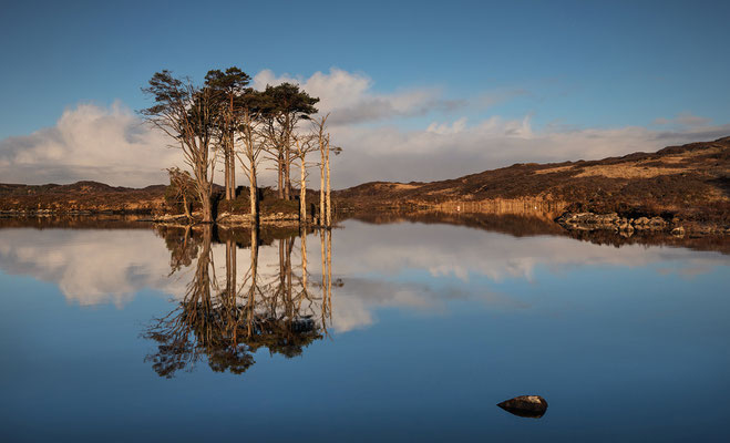 Loch Assynt, Pinieninsel